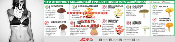 сатива Алексин