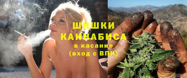 PSILOCYBIN Нязепетровск