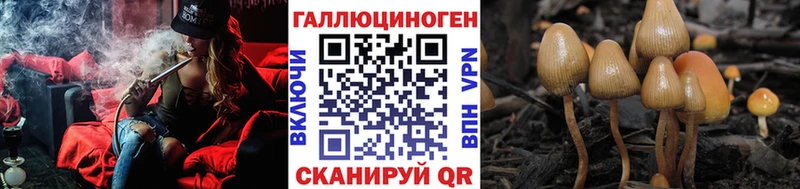 купить закладку  Ликино-Дулёво  это как зайти  Галлюциногенные грибы Psilocybe 